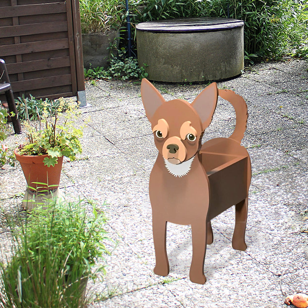 Chihuahua Planter-PLAWLTD