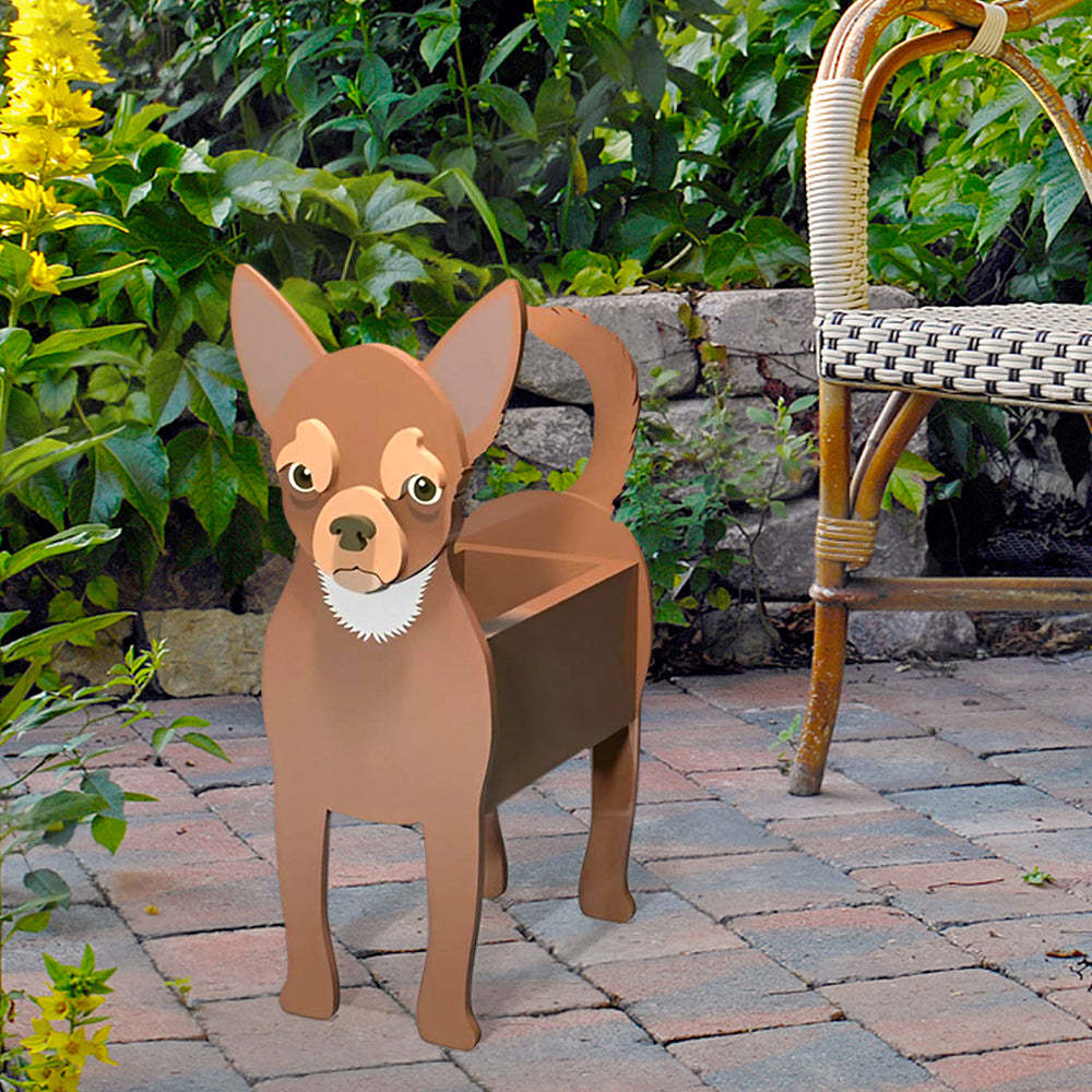 Chihuahua Planter-PLAWLTD