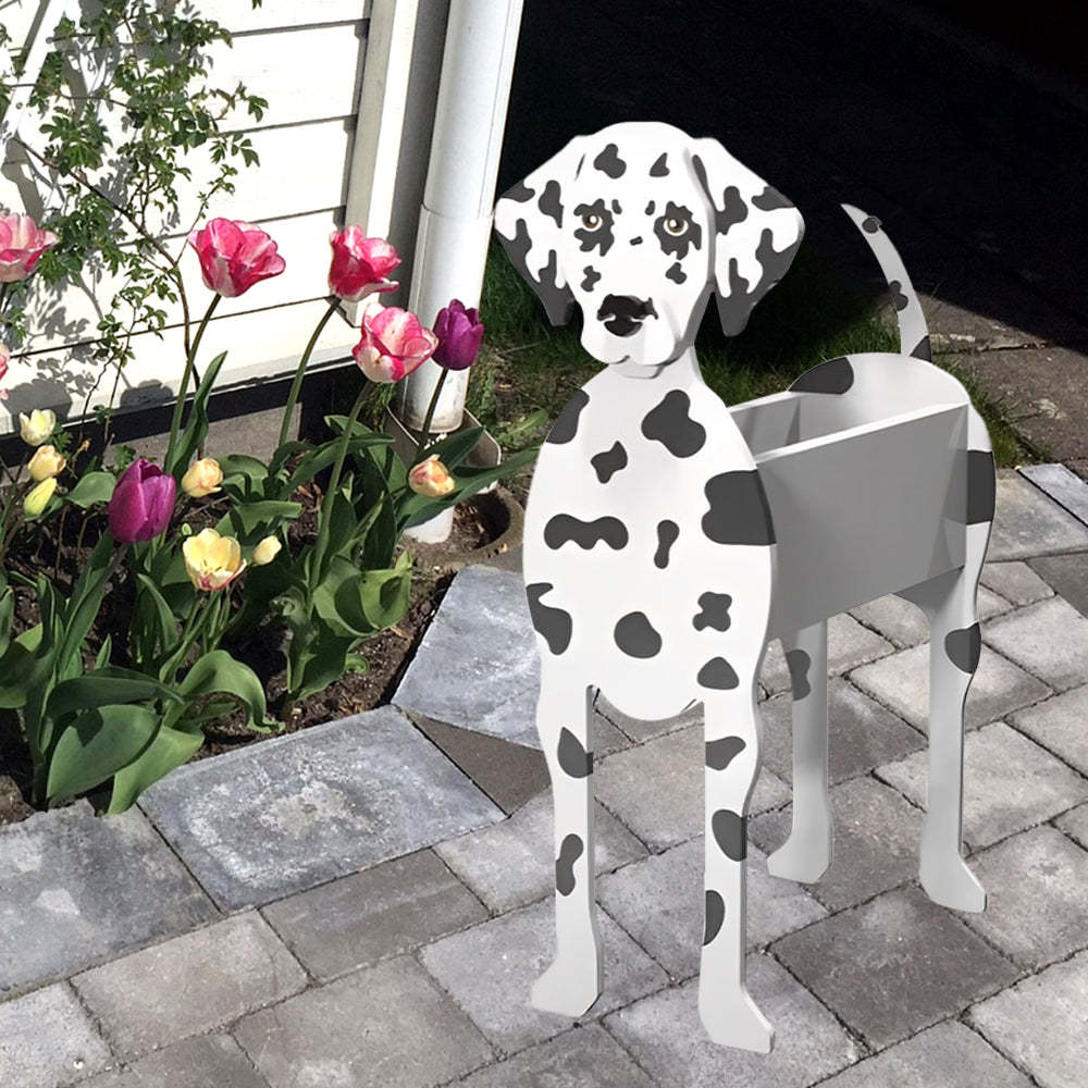 Dalmatian Planter-PLAWLTD