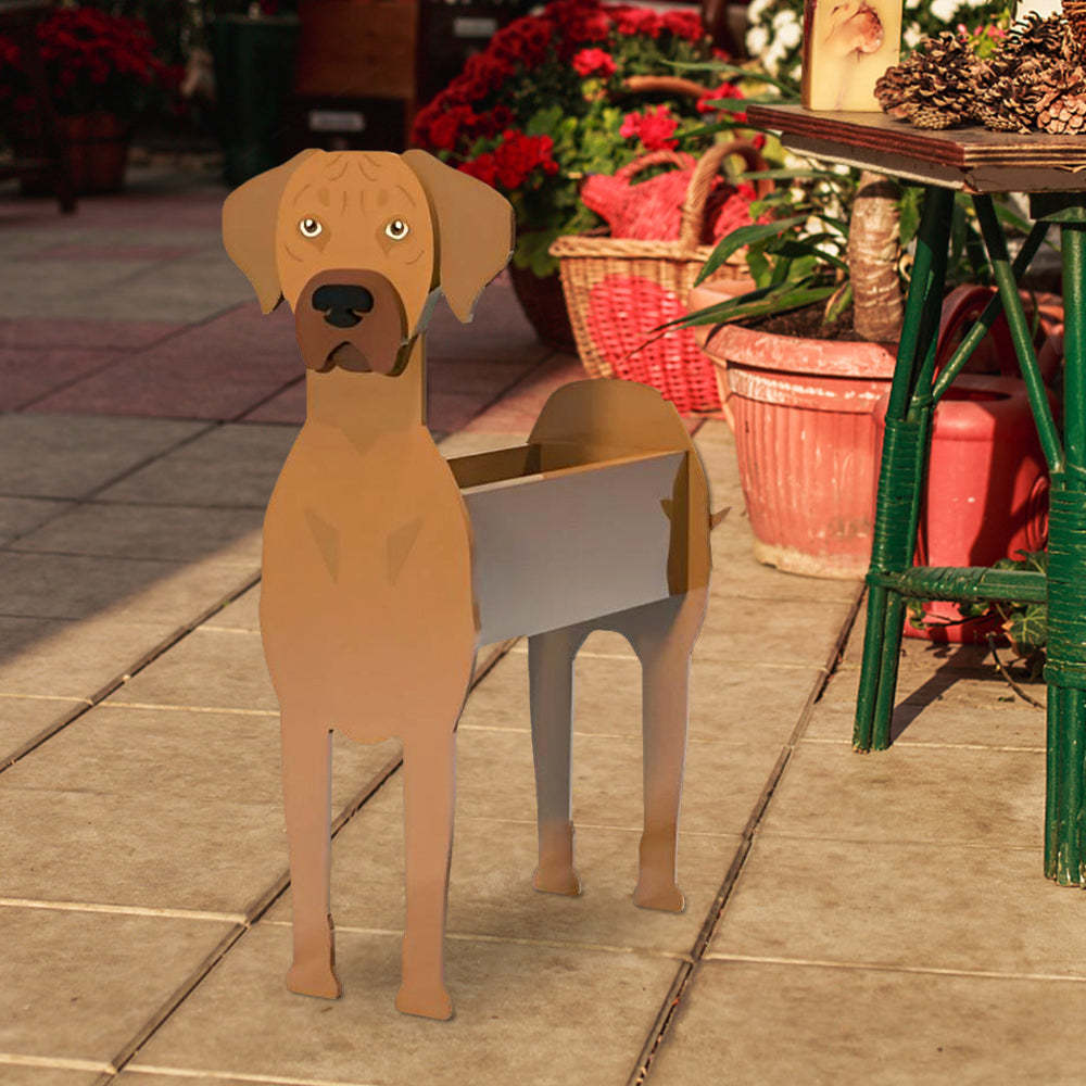 Rhodesian Ridgeback Planter-PLAWLTD