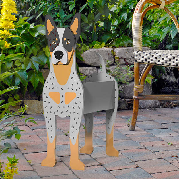 Australian Cattle Planter-PLAWLTD