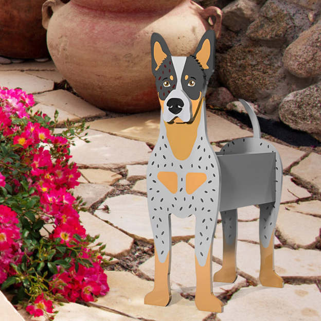 Australian Cattle Planter-PLAWLTD