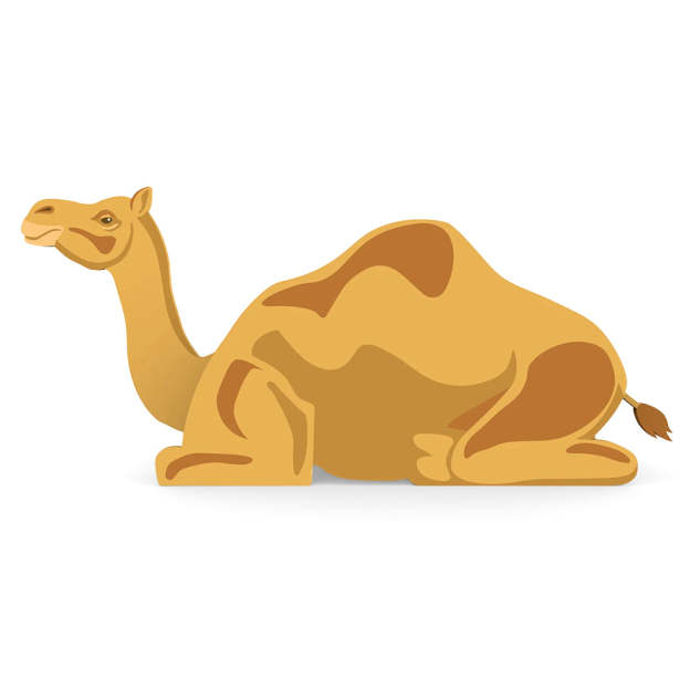 Camel Planter-PLAWLTD