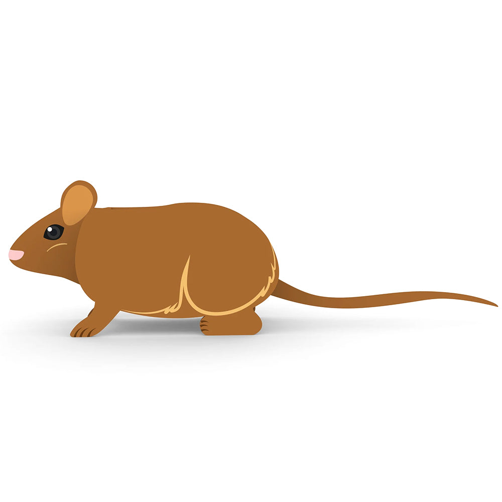 Mouse Planter-PLAWLTD