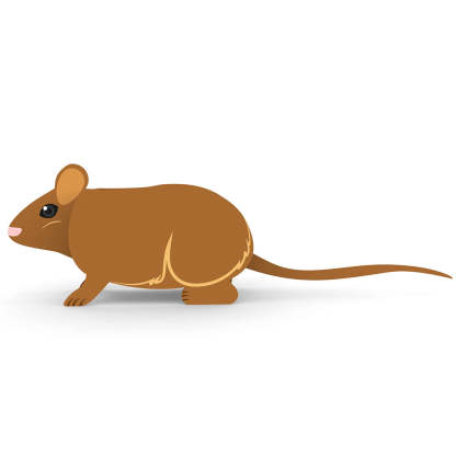 Mouse Planter-PLAWLTD