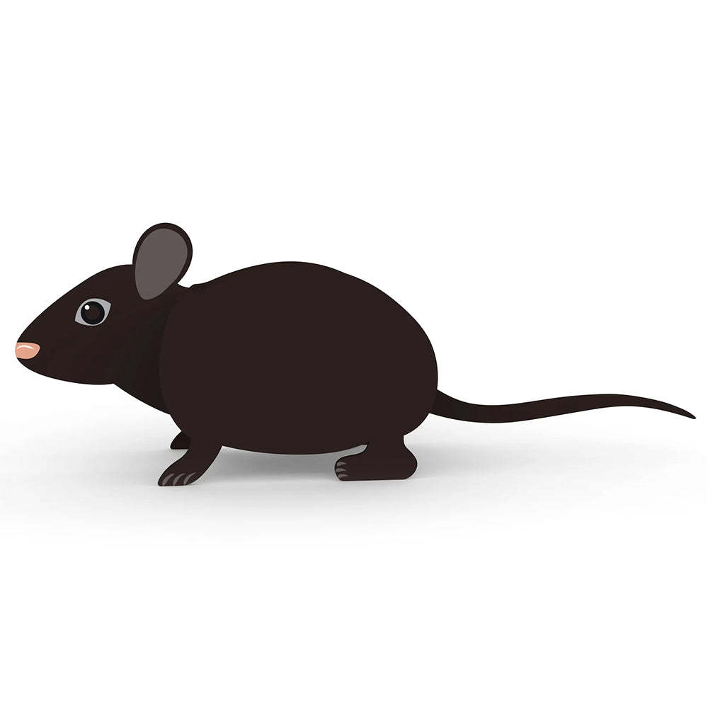 Rat Planter-PLAWLTD