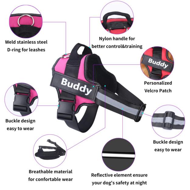 🔥Hot Sale🔥The Personalized NO PULL Harness (Can customize pet's name and your contact information)