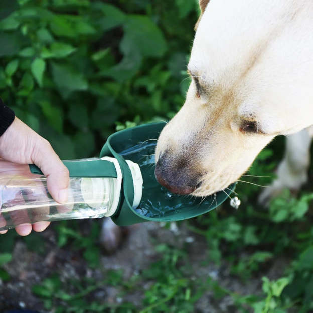 2 in 1 Multifunction Portable Dog Water Bottle