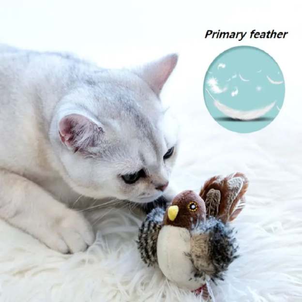 Interactive Bird Cat Toy 🐱🐦