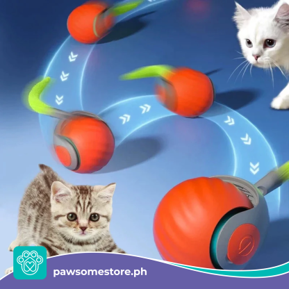 😍Speedy Tail 2.0 Smart Pet Toy