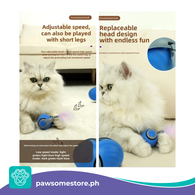 😍Speedy Tail 2.0 Smart Pet Toy