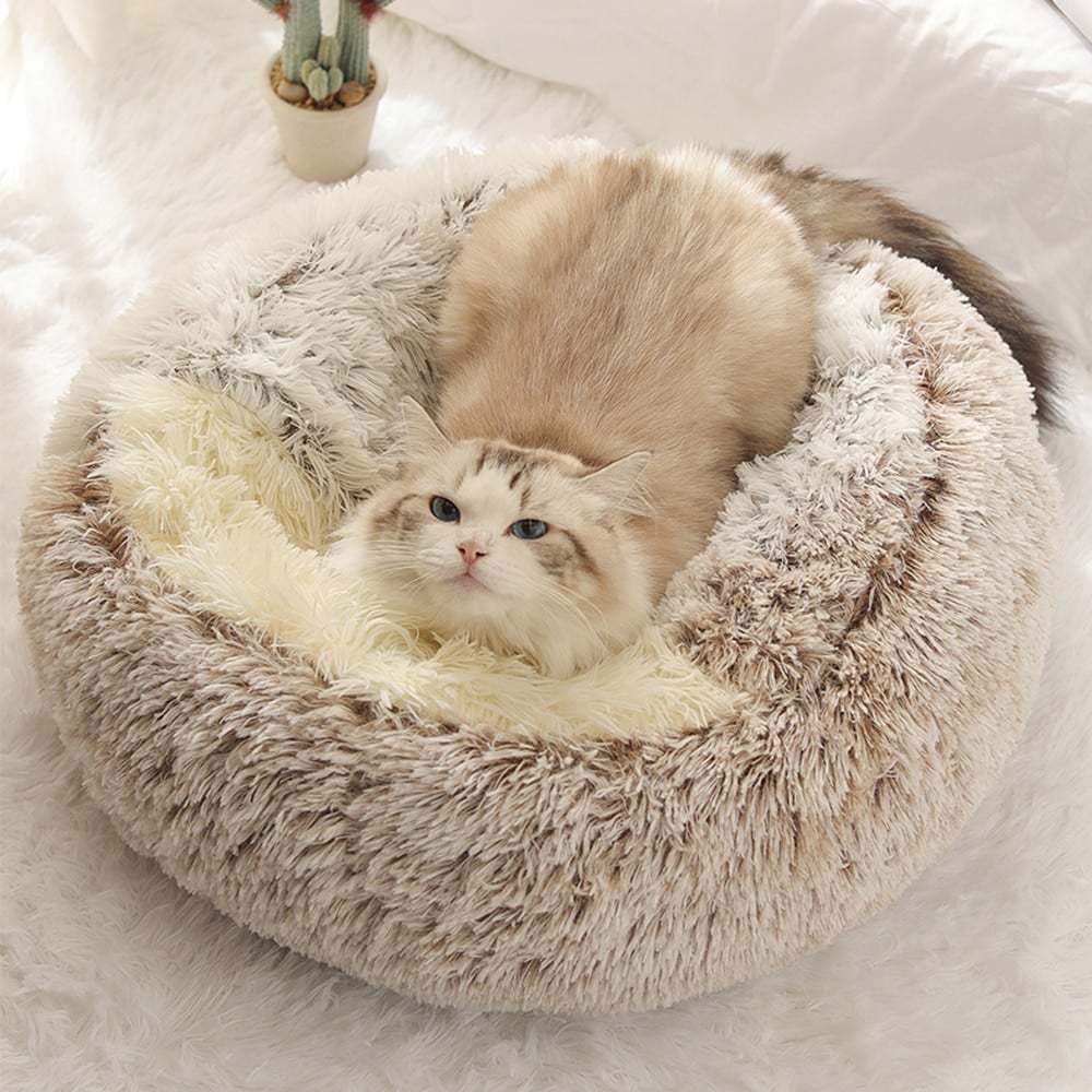 🔥Cat Plush Bed