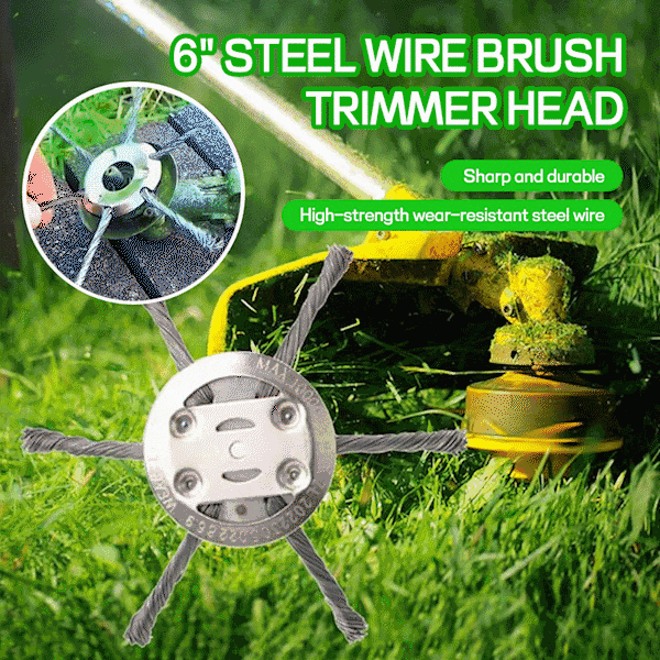 🔧 6" Steel Wire Brush Trimmer Head-PLAWLTD