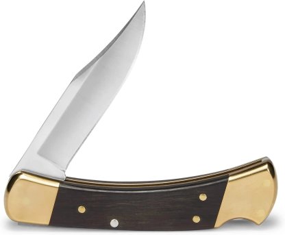 Buck 110 Folding Hunter Lock-back Knife, Brass Bolsters, Ebony Handles, 3-3/4" 420HC Blade with Leather Sheath-PLAWLTD