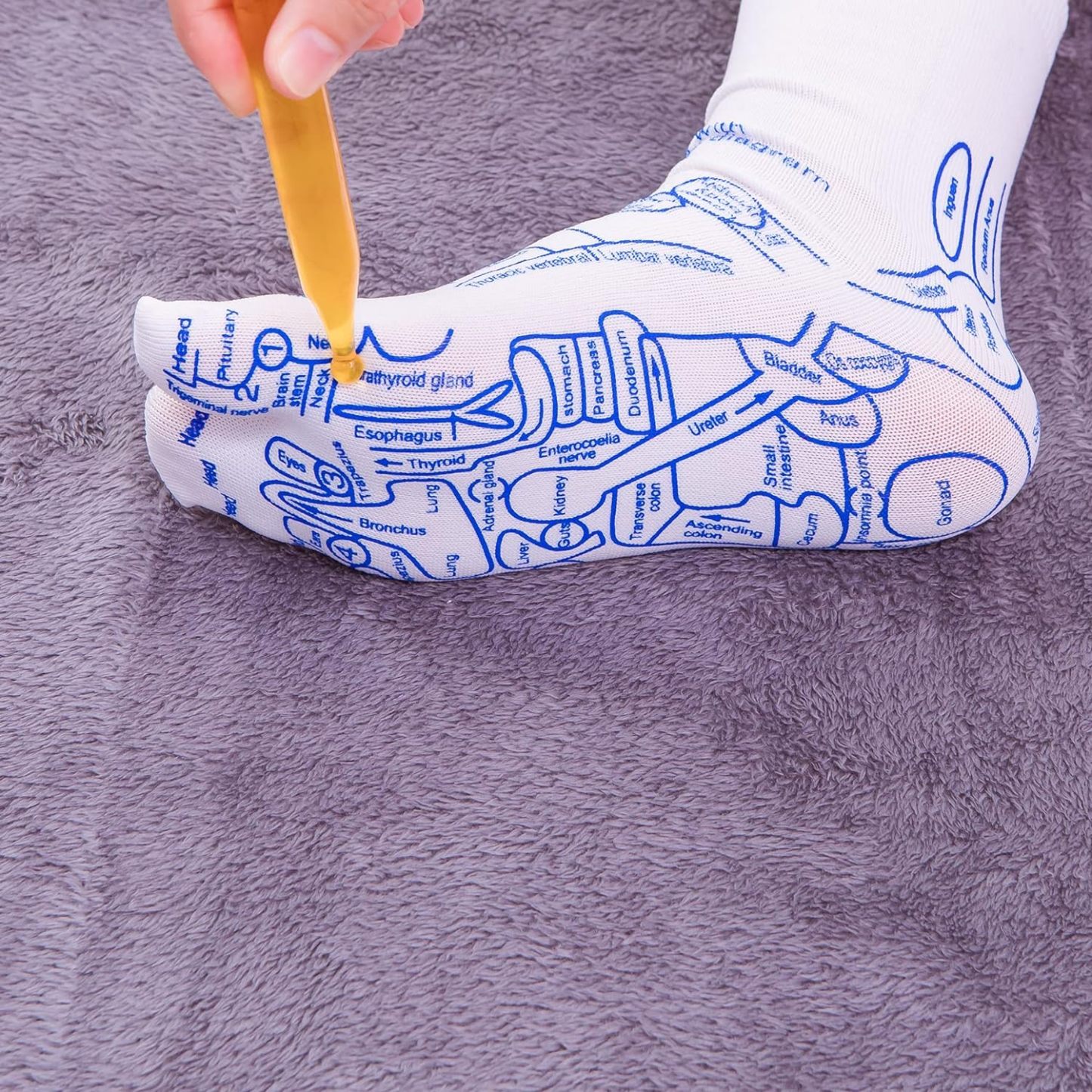 Reflexology Chart Socks with Trigger Point Massage Tool-PLAWLTD