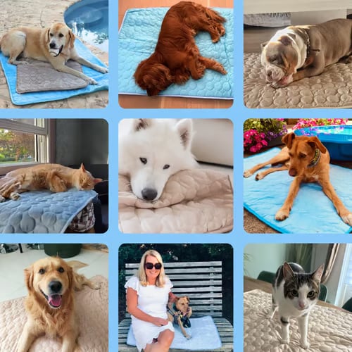 🐕SUMMER HOT SALE-Dog Cooling Mat (4x more effective)