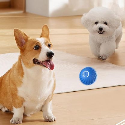 Automatic smart teasing dog ball that can't be bitten🐶