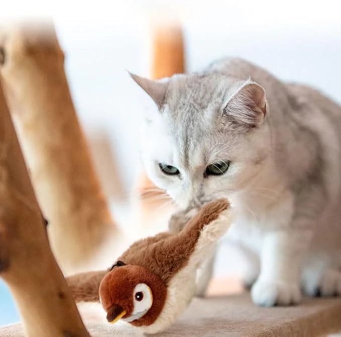 🔥HOT SALE - 🐾Simulated Sparrow Cat Toy