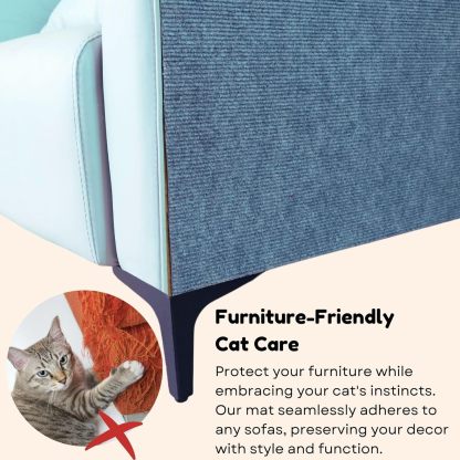 Hot sale -47%🔥AsisumptionTM -Cat Scratching