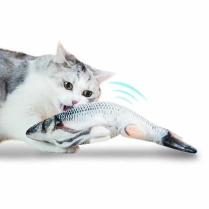 Floppy Fish Cat Toy-PLAWLTD