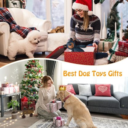 🎄Christmas sale 60% Off-2025 New Bear For Heavy Chewers🐾-PLAWLTD