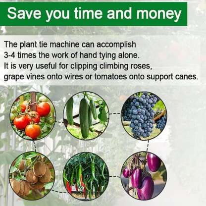 🌹Last Day 49% OFF -🍅Plant Tying Machine🌶️-PLAWLTD