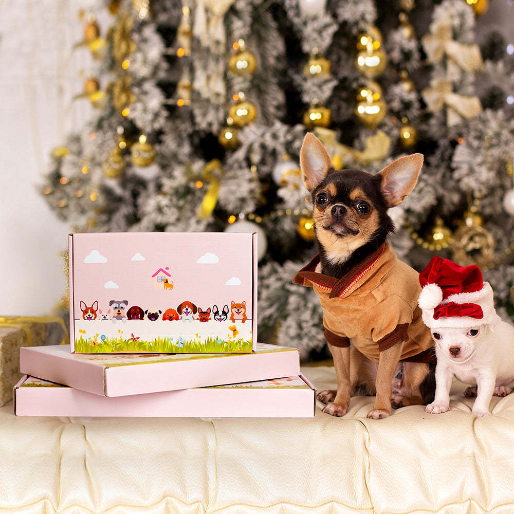 Raccoon Planter-PLAWLTD