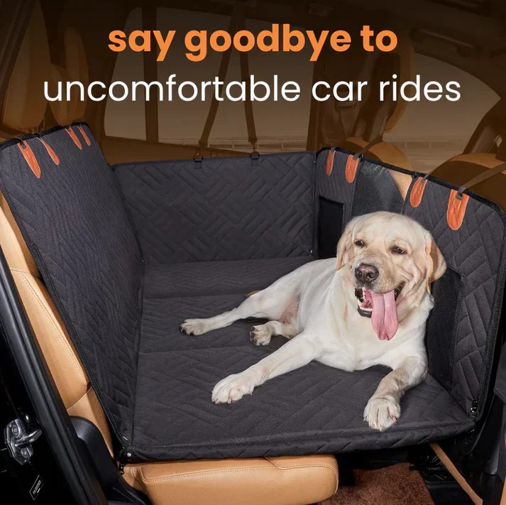 Hard bottom dog car made with protective cover