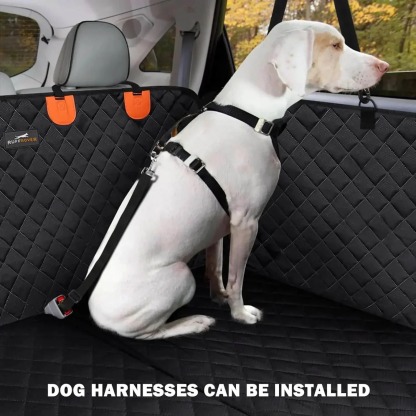 Hard bottom dog car made with protective cover