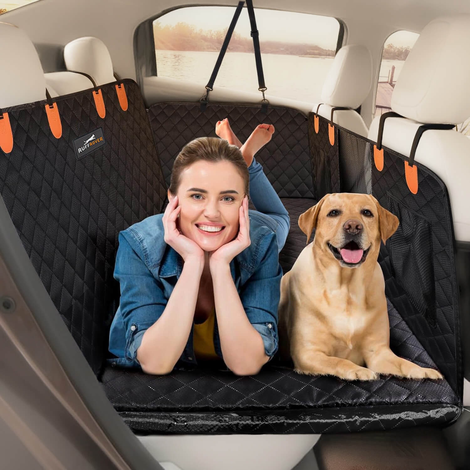 Hard bottom dog car made with protective cover