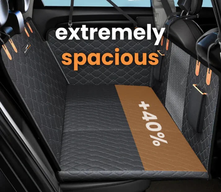 Hard bottom dog car made with protective cover