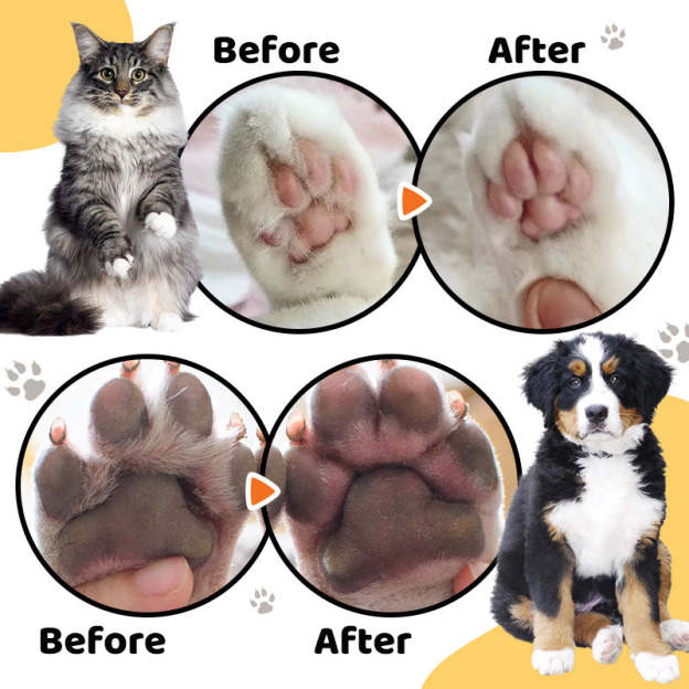 Waterproof Rechargeable Pet Shaver with LED Light-PLAWLTD