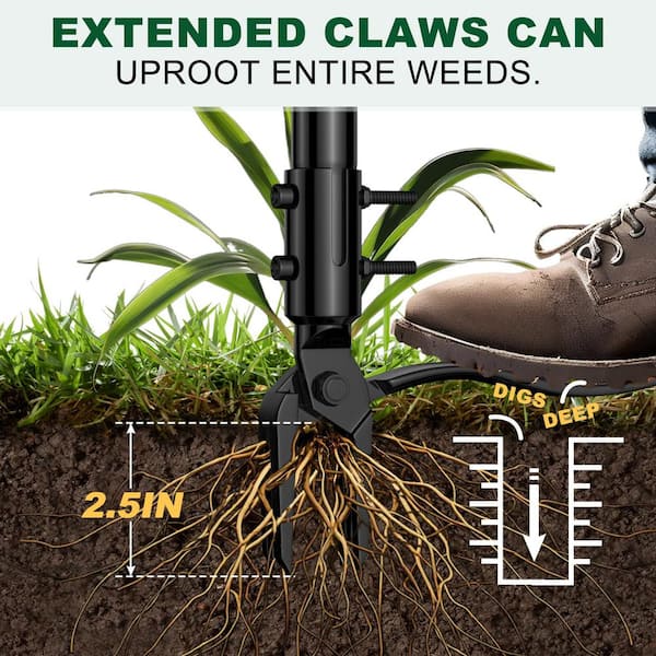 Angel Sar 64 in. 4 Claws 3 Lengths of Adjustable Stainless Steel Stand Up Hand Weeder with Long Handle, Detachable Weed Puller XCQY1335 - The Home Depot