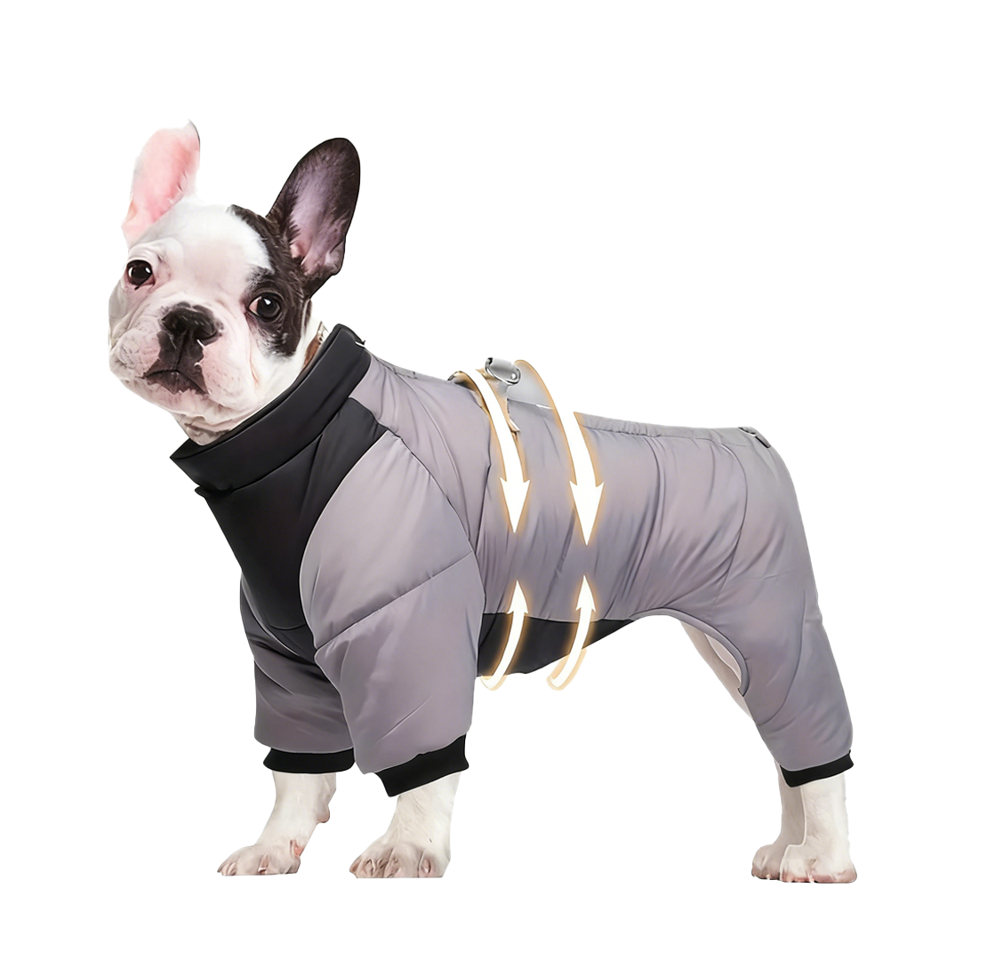  Pet Winter Warm Windproof