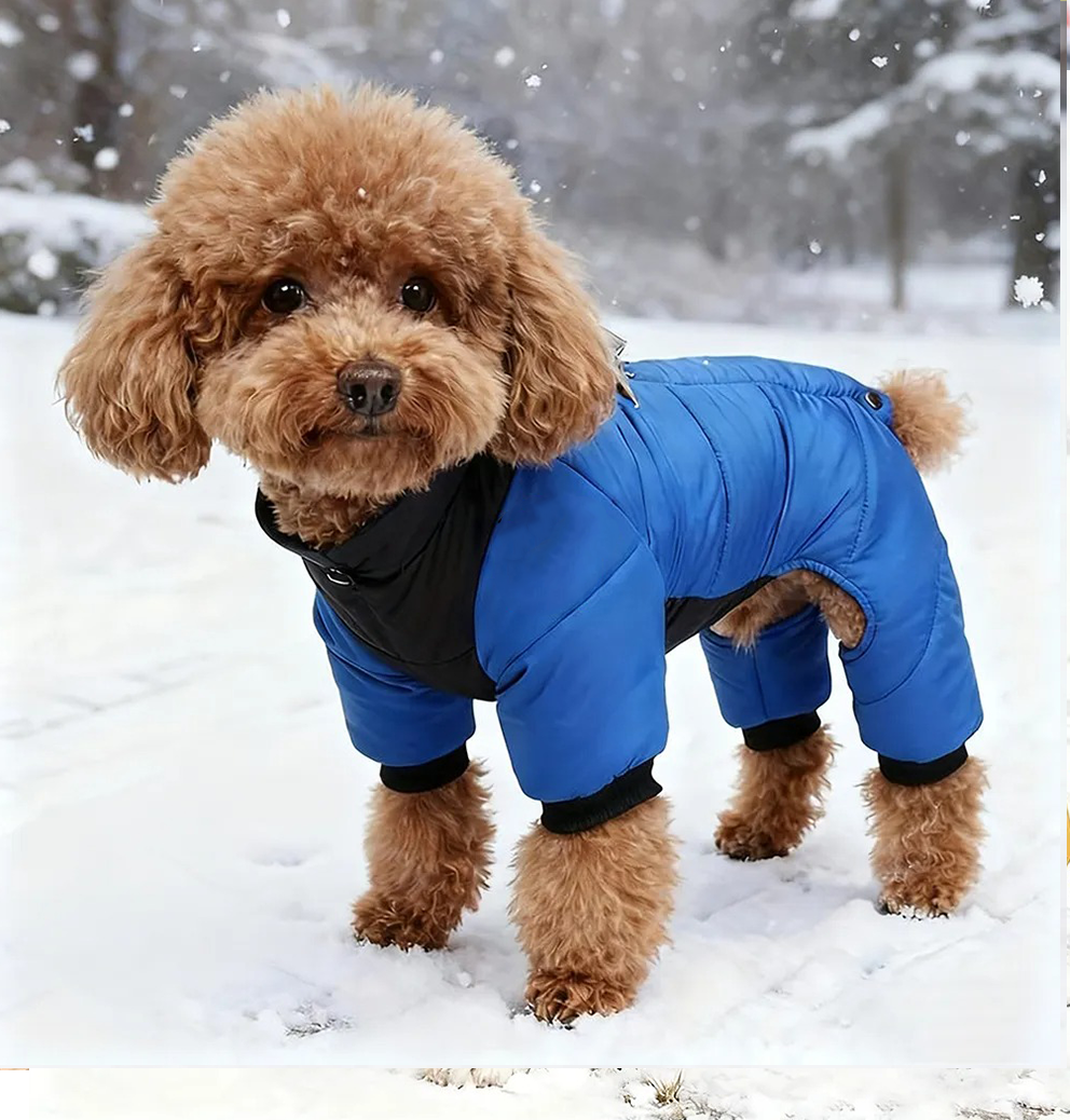  Pet Winter Warm Windproof