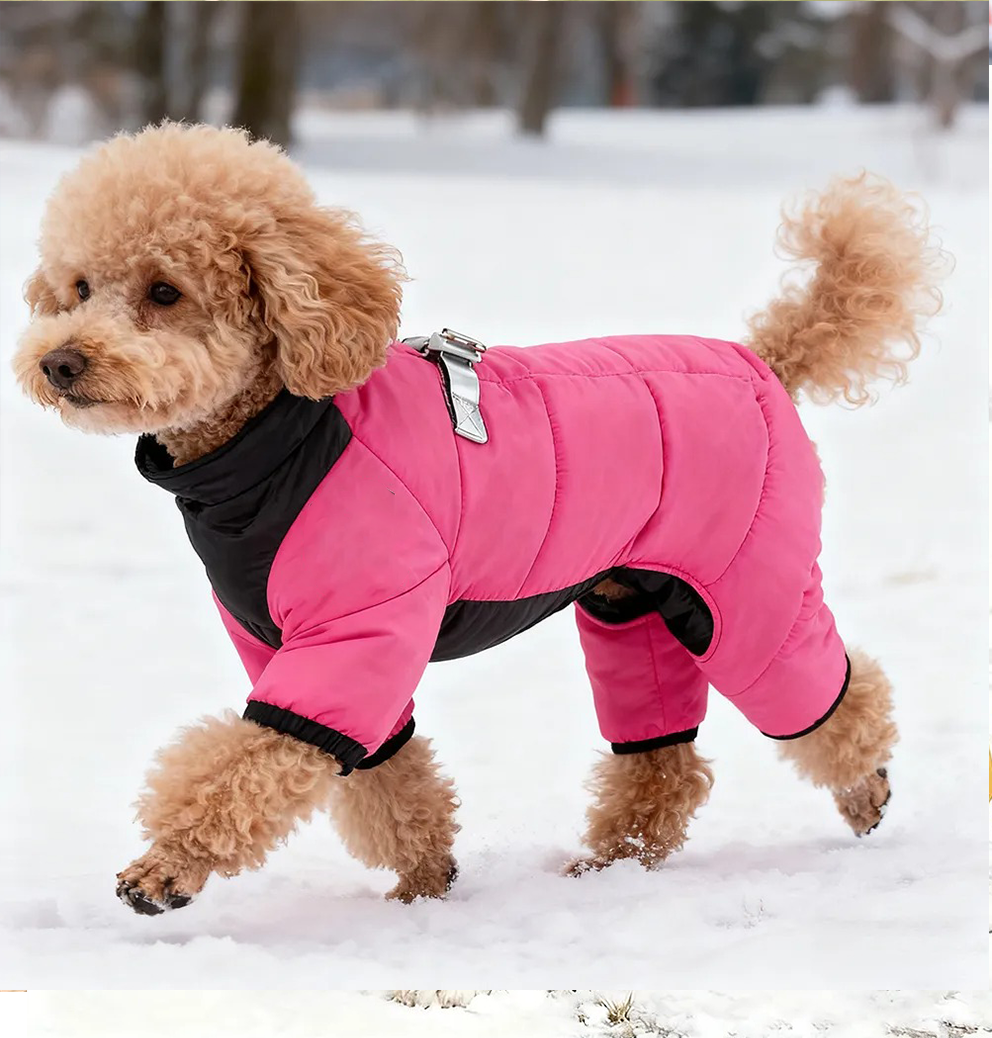  Pet Winter Warm Windproof