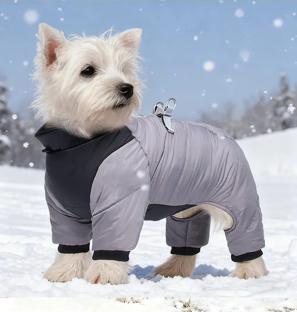  Pet Winter Warm Windproof