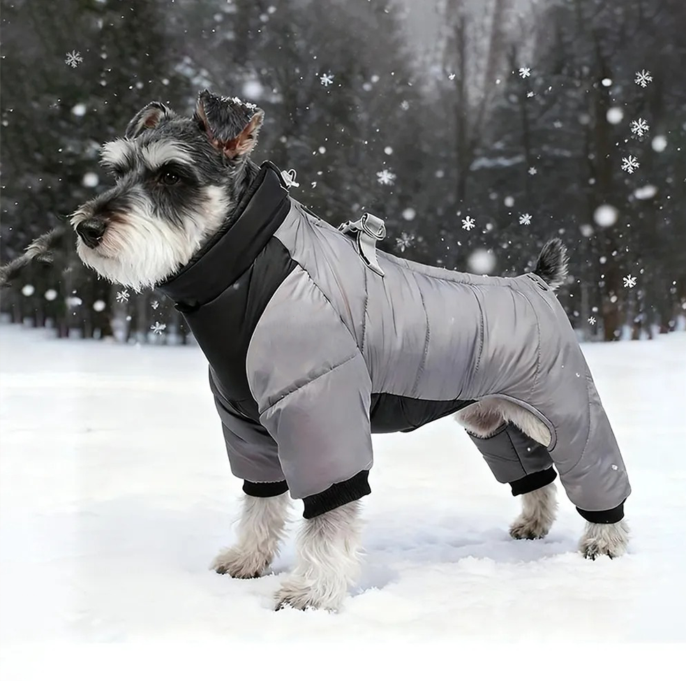  Pet Winter Warm Windproof