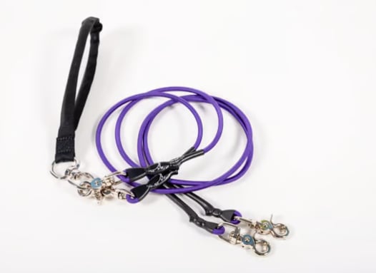 🔥🐕Double Bungee Leash - 1st step training tool-tidenox