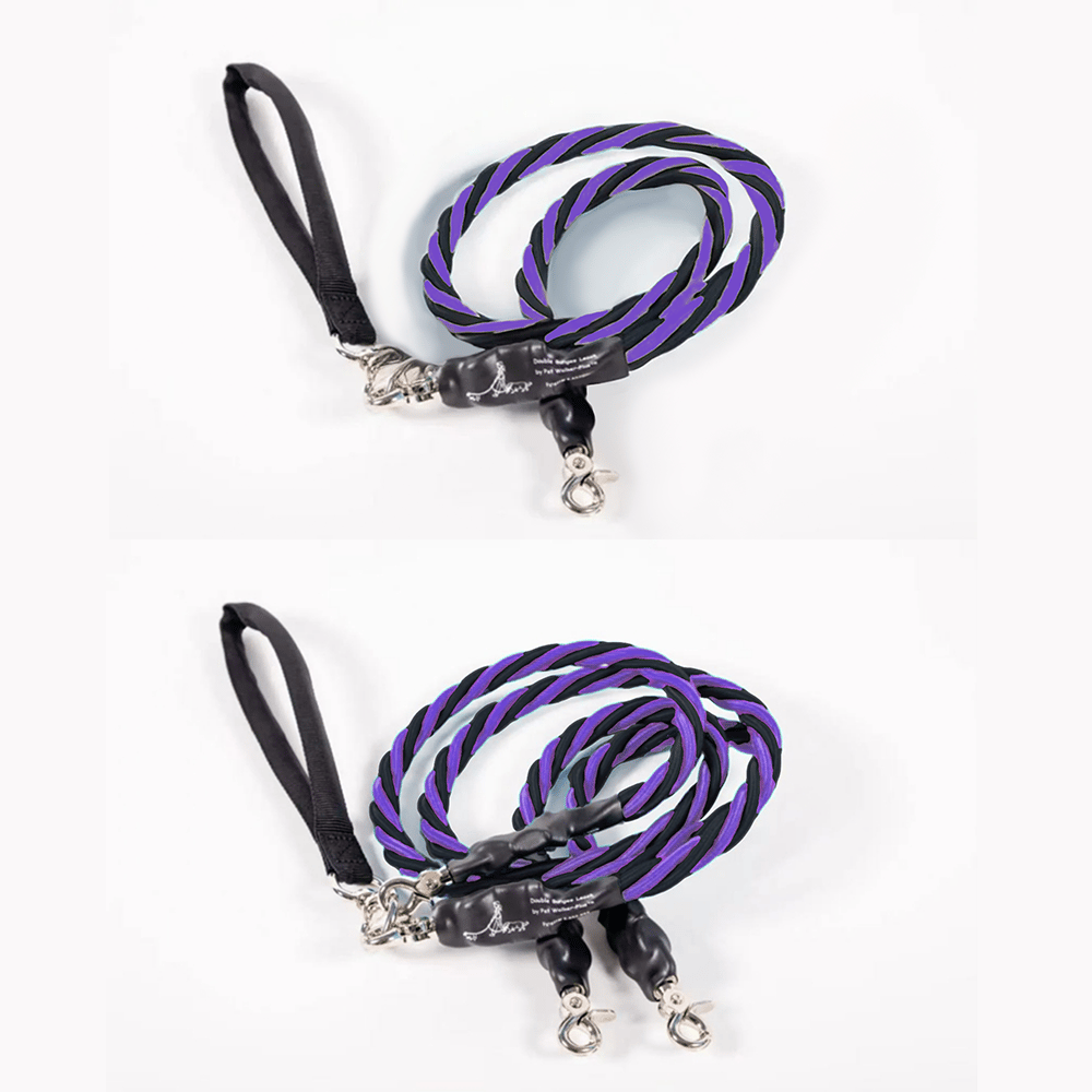 🔥🐕Double Bungee Leash - 1st step training tool-tidenox