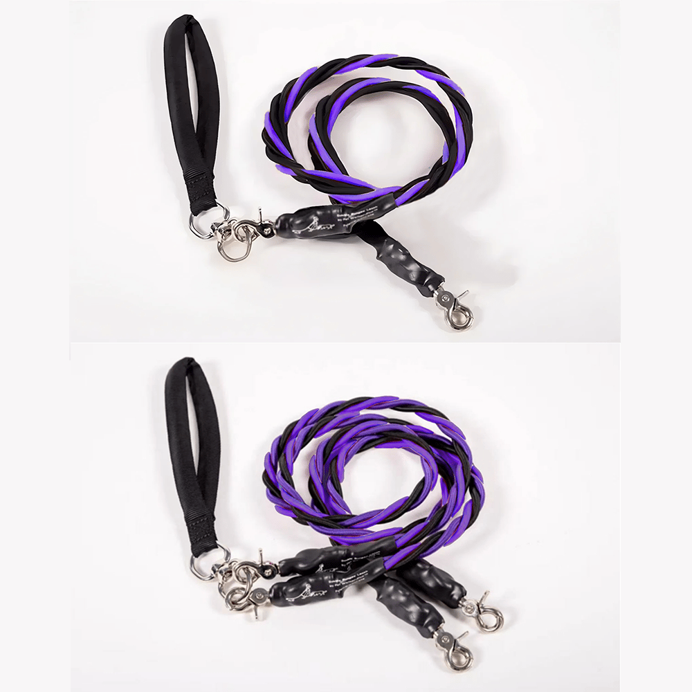 🔥🐕Double Bungee Leash - 1st step training tool-tidenox