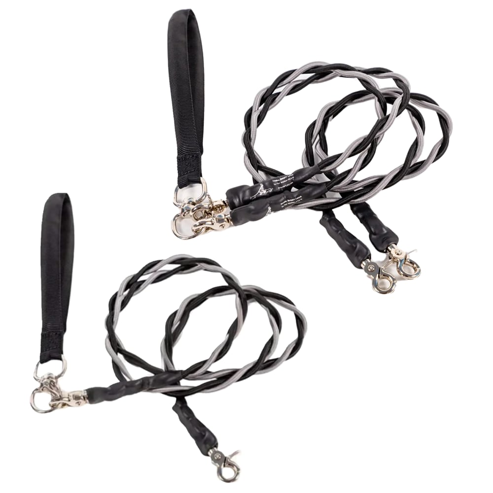 🔥🐕Double Bungee Leash - 1st step training tool-tidenox
