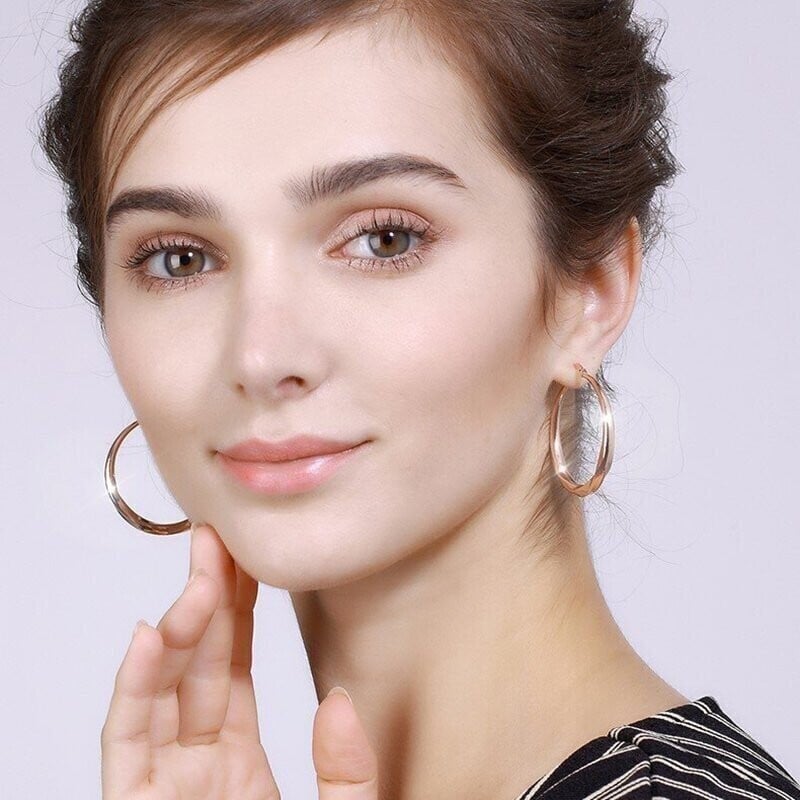 S925 Fashion Classic Circle Earrings-tidenox