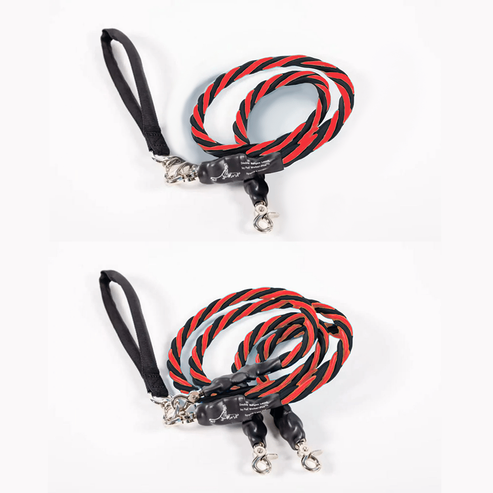 🔥🐕Double Bungee Leash - 1st step training tool-tidenox