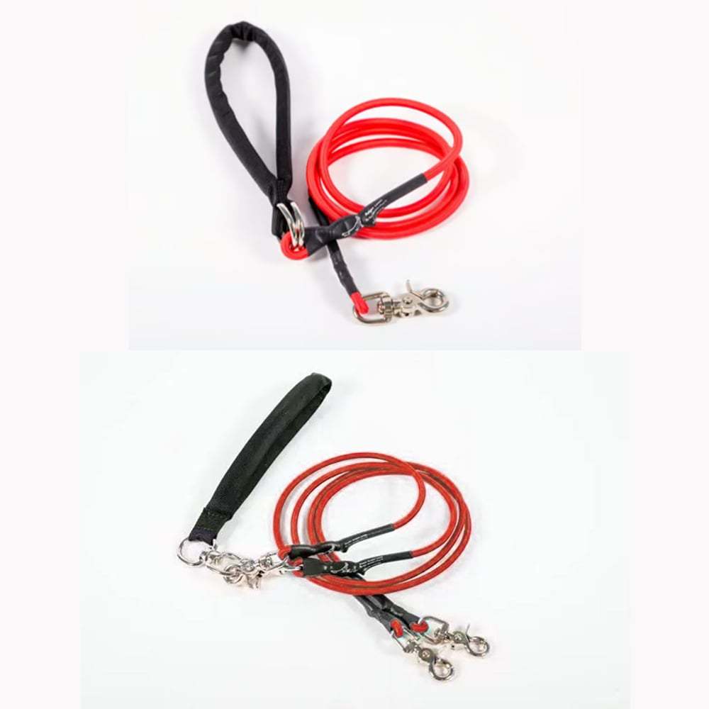 🔥🐕Double Bungee Leash - 1st step training tool-tidenox