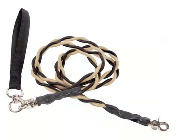 🔥🐕Double Bungee Leash - 1st step training tool-tidenox