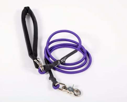 🔥🐕Double Bungee Leash - 1st step training tool-tidenox