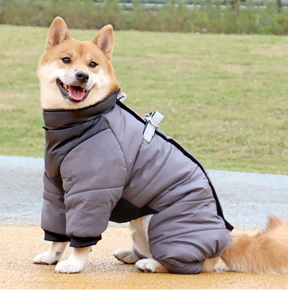  Pet Winter Warm Windproof