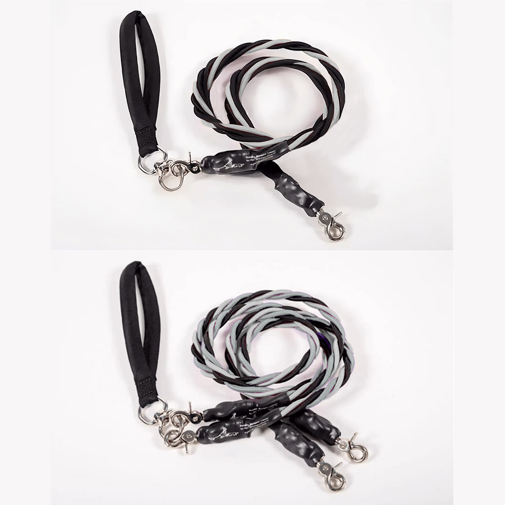 🔥🐕Double Bungee Leash - 1st step training tool-tidenox