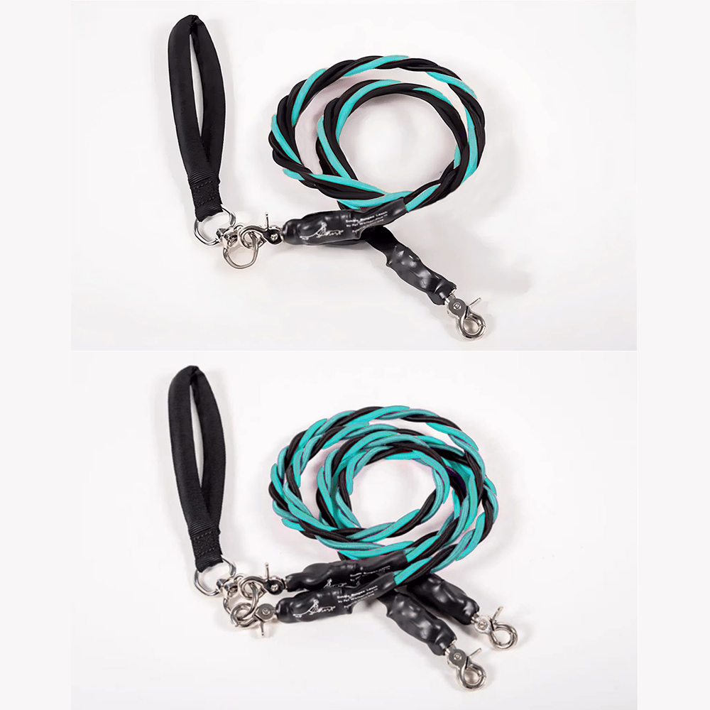 🔥🐕Double Bungee Leash - 1st step training tool-tidenox